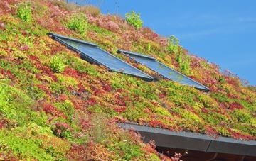 Tarrant Rushton living roof systems