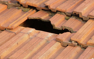 roof repair Tarrant Rushton, Dorset