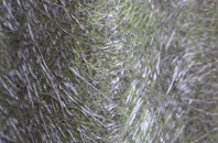 Tarrant Rushton fibreglass roof work